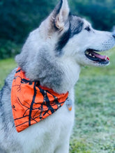 Load image into Gallery viewer, Hunter camouflage Orange Elastic Collared Bandana
