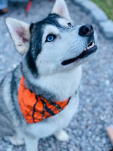 Load image into Gallery viewer, Hunter camouflage Orange Elastic Collared Bandana
